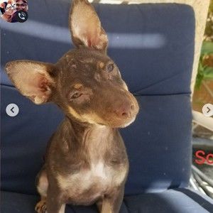 Meet your Posher, Nancy